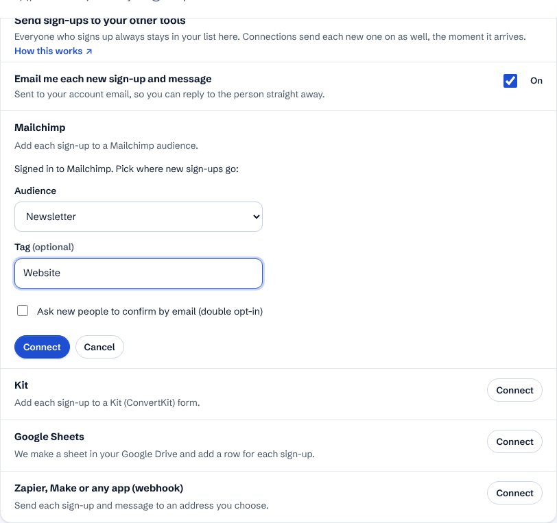 Back from Mailchimp: picking the audience, a tag and the double opt-in box